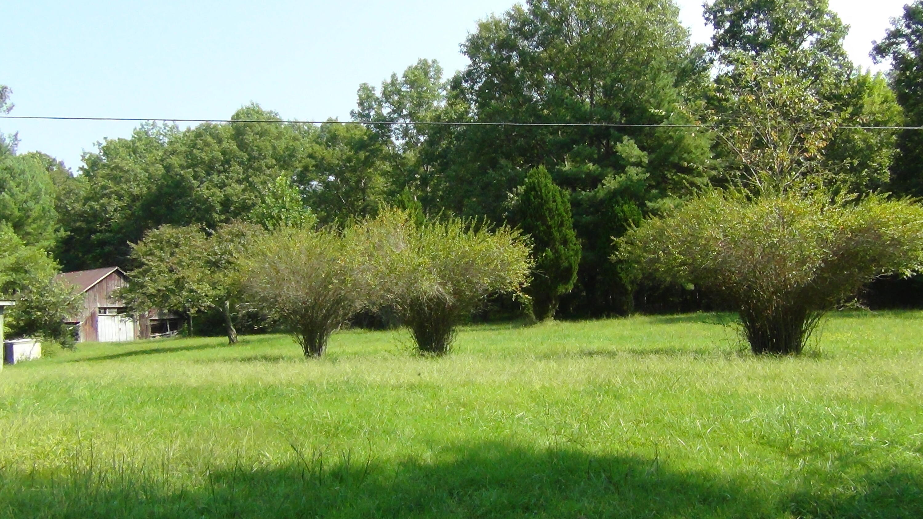 704 Annadel Road Lancing, TN 37770 - Photo 2 of 51 DSC01098