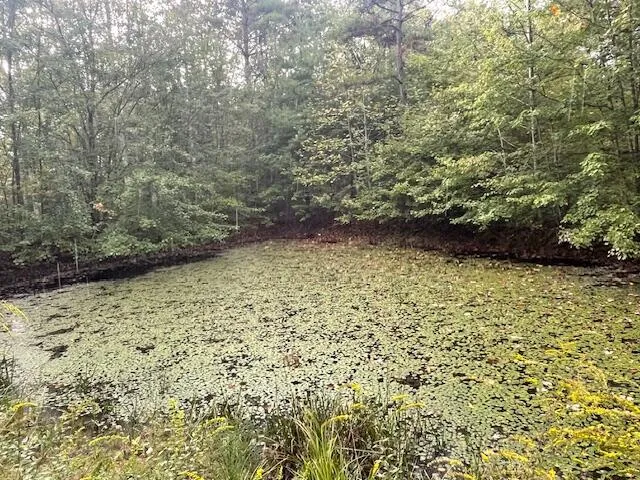 $295,000 | 704 Annadel Road, Lancing, TN 37770