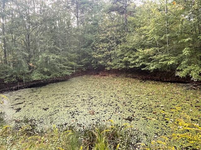 704 Annadel Road Lancing, TN 37770 - Photo 21 of 51 IMG_7095