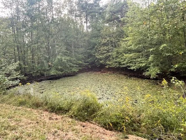 $295,000 | 704 Annadel Road, Lancing, TN 37770