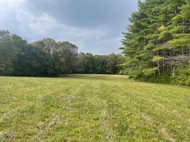 704 Annadel Road Lancing, TN 37770 - Photo 23 of 51 IMG_7092