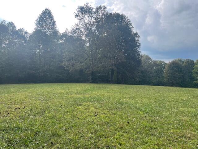 704 Annadel Road Lancing, TN 37770 - Photo 26 of 51 IMG_7089