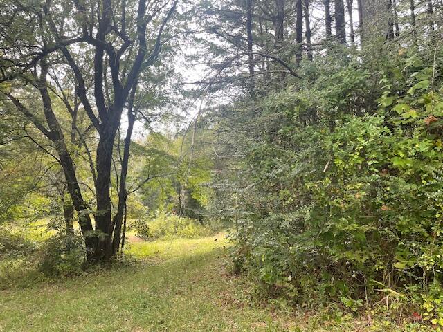 704 Annadel Road Lancing, TN 37770 - Photo 29 of 51 IMG_7086