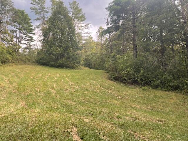 704 Annadel Road Lancing, TN 37770 - Photo 30 of 51 IMG_7085