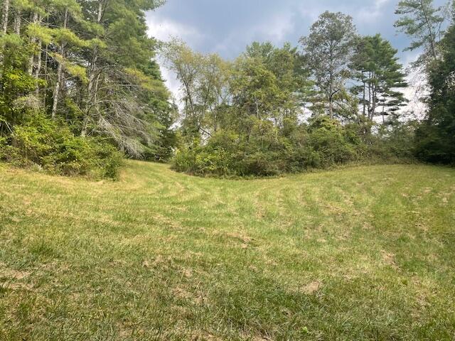 704 Annadel Road Lancing, TN 37770 - Photo 31 of 51 IMG_7084