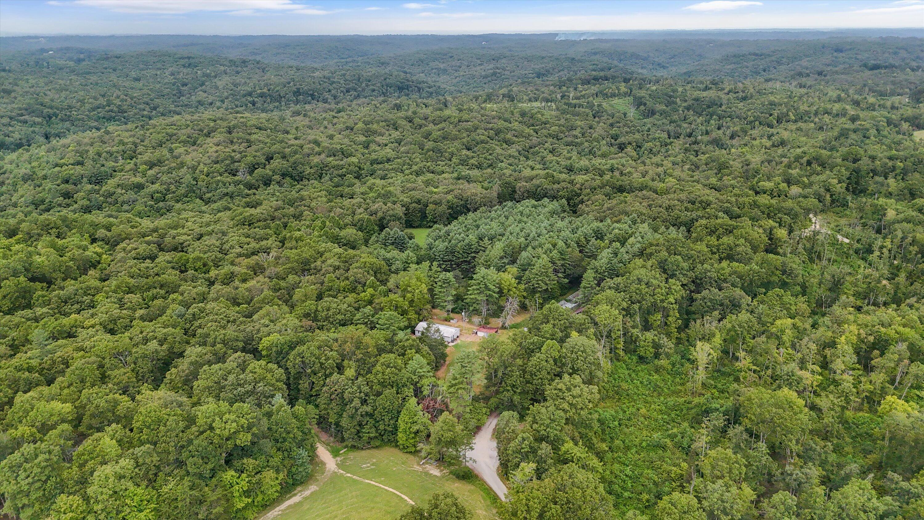 704 Annadel Road Lancing, TN 37770 - Photo 4 of 51 03-704 Annadel Rd-01