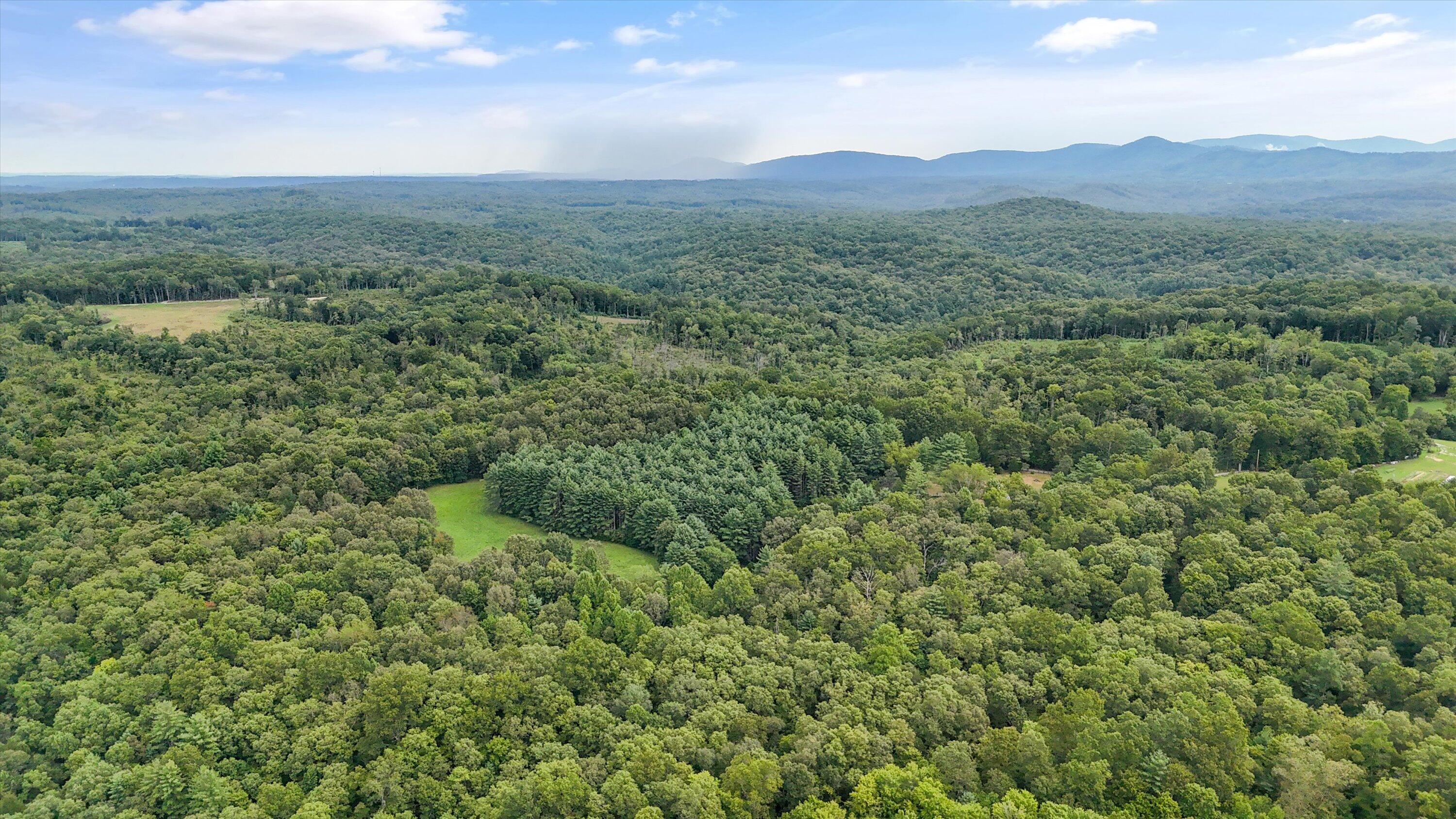 704 Annadel Road Lancing, TN 37770 - Photo 5 of 51 05-704 Annadel Rd-04