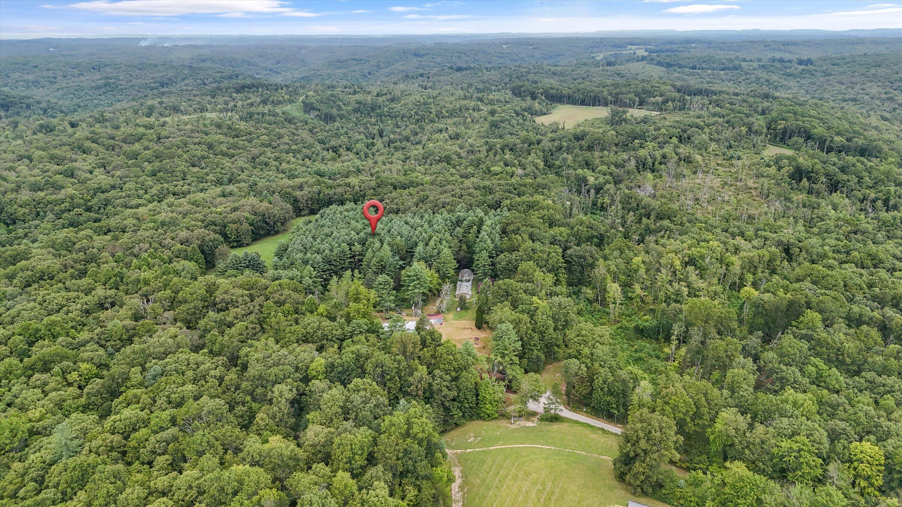 704 Annadel Road Lancing, TN 37770 - Photo 6 of 51 04-704 Annadel Rd-02