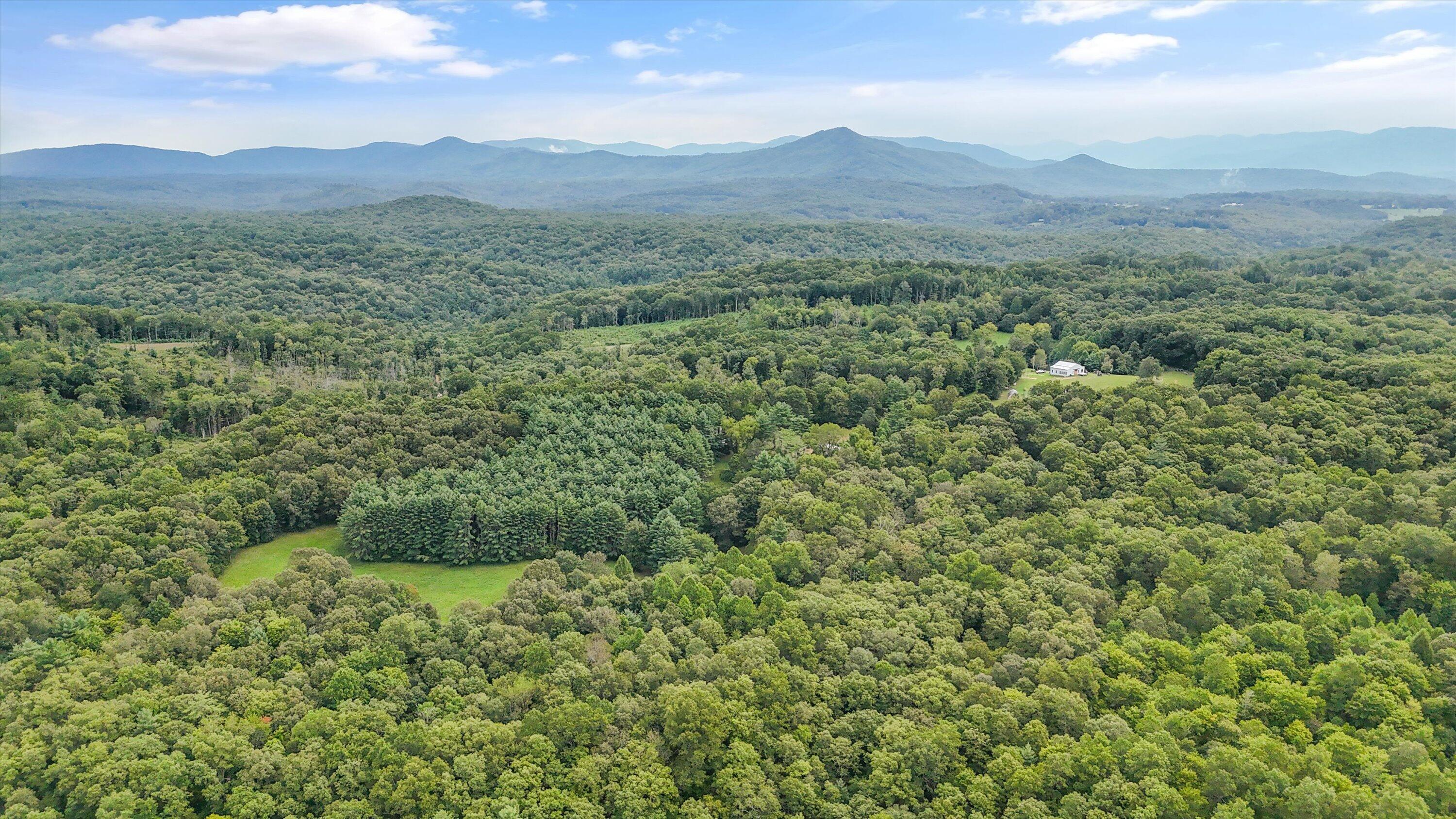 704 Annadel Road Lancing, TN 37770 - Photo 6 of 51 06-704 Annadel Rd-05