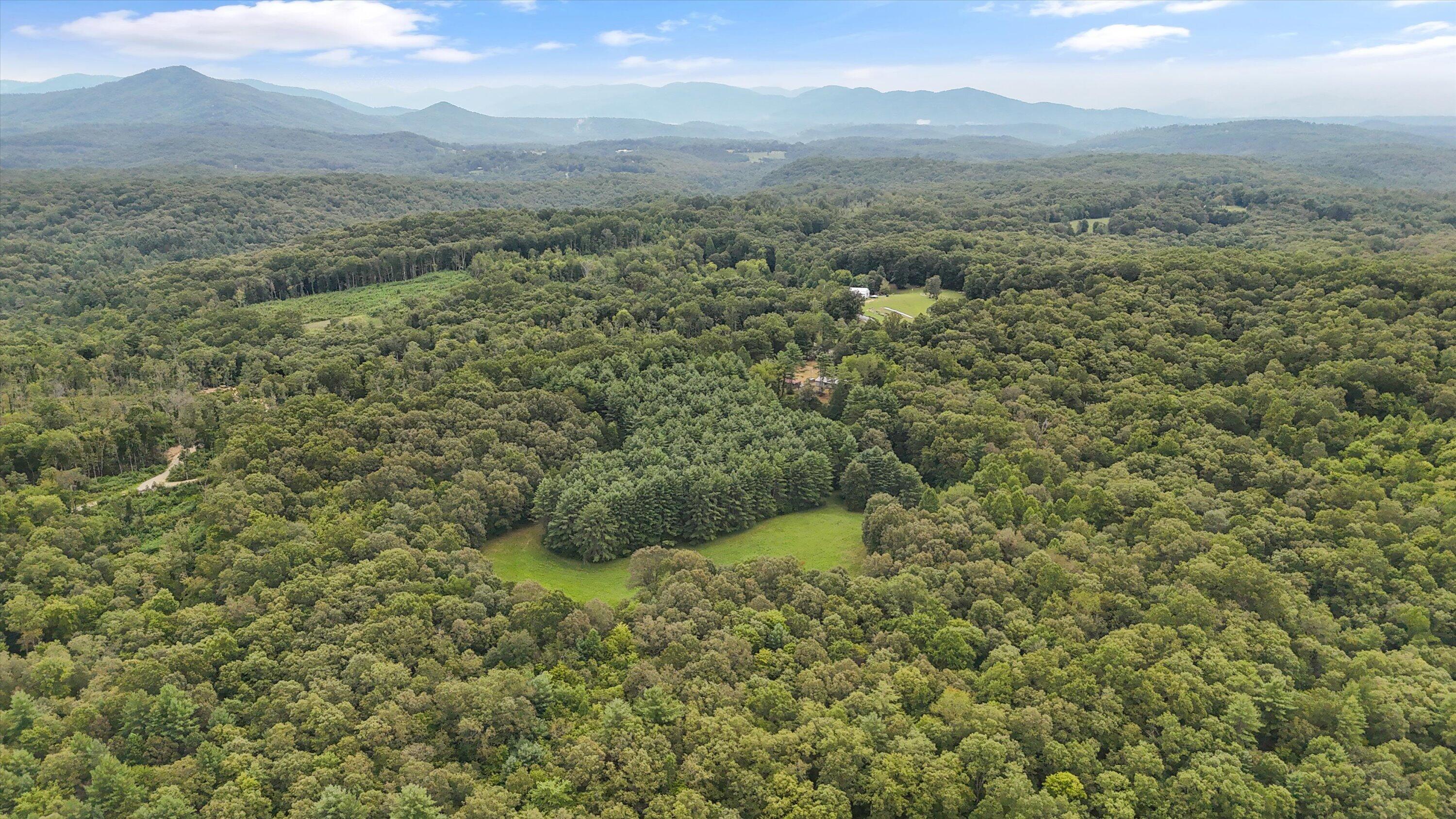 704 Annadel Road Lancing, TN 37770 - Photo 7 of 51 07-704 Annadel Rd-06