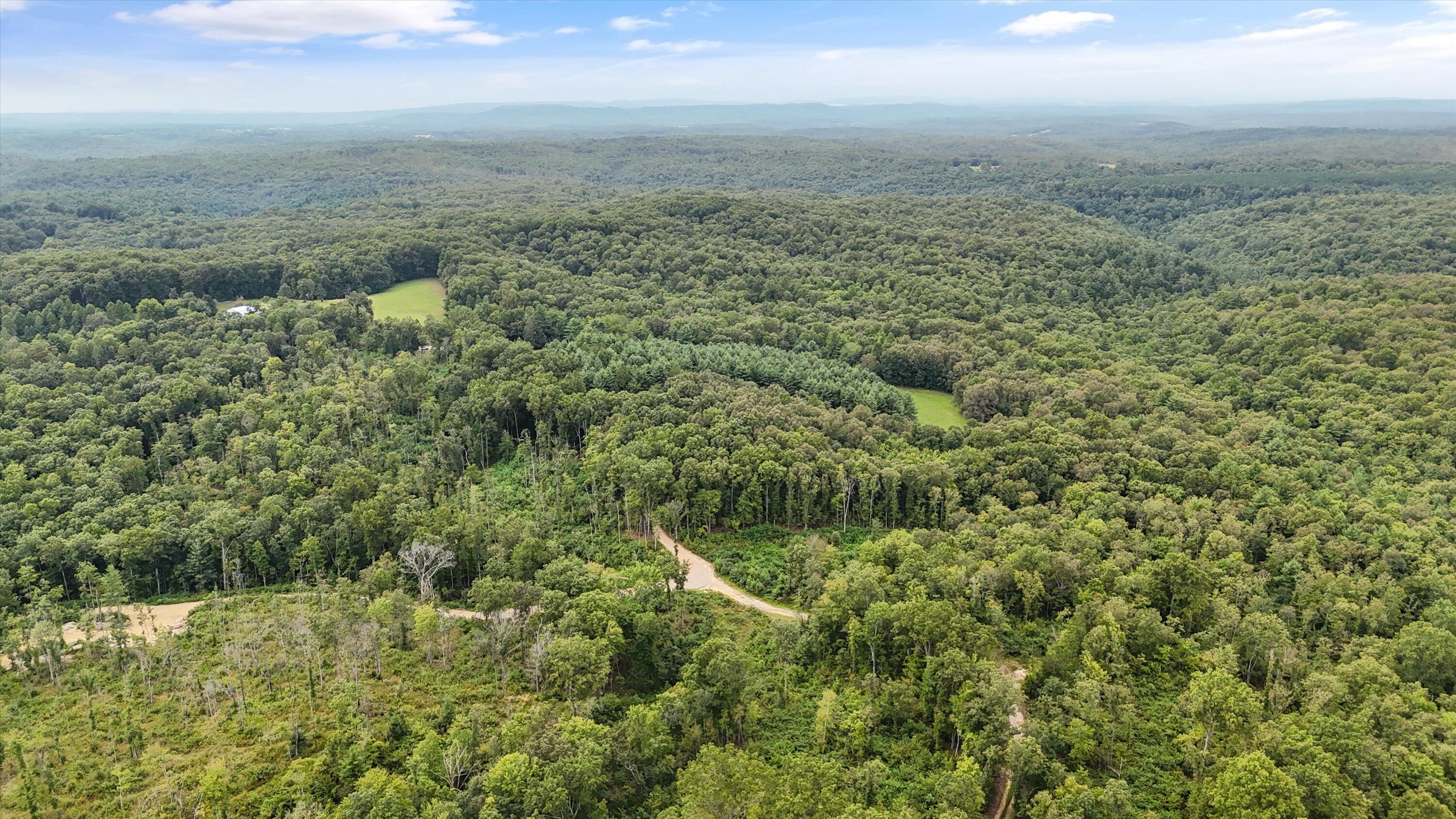 704 Annadel Road Lancing, TN 37770 - Photo 10 of 51 08-704 Annadel Rd-07