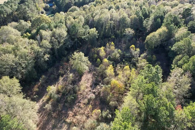 a view of a back yard