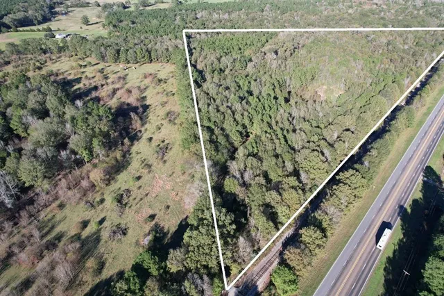 a view of a yard with plants