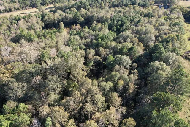 a view of a house with a tree