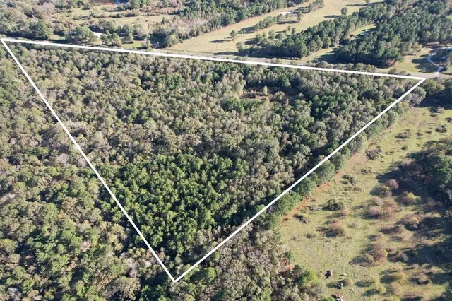a view of a yard with wooden fence