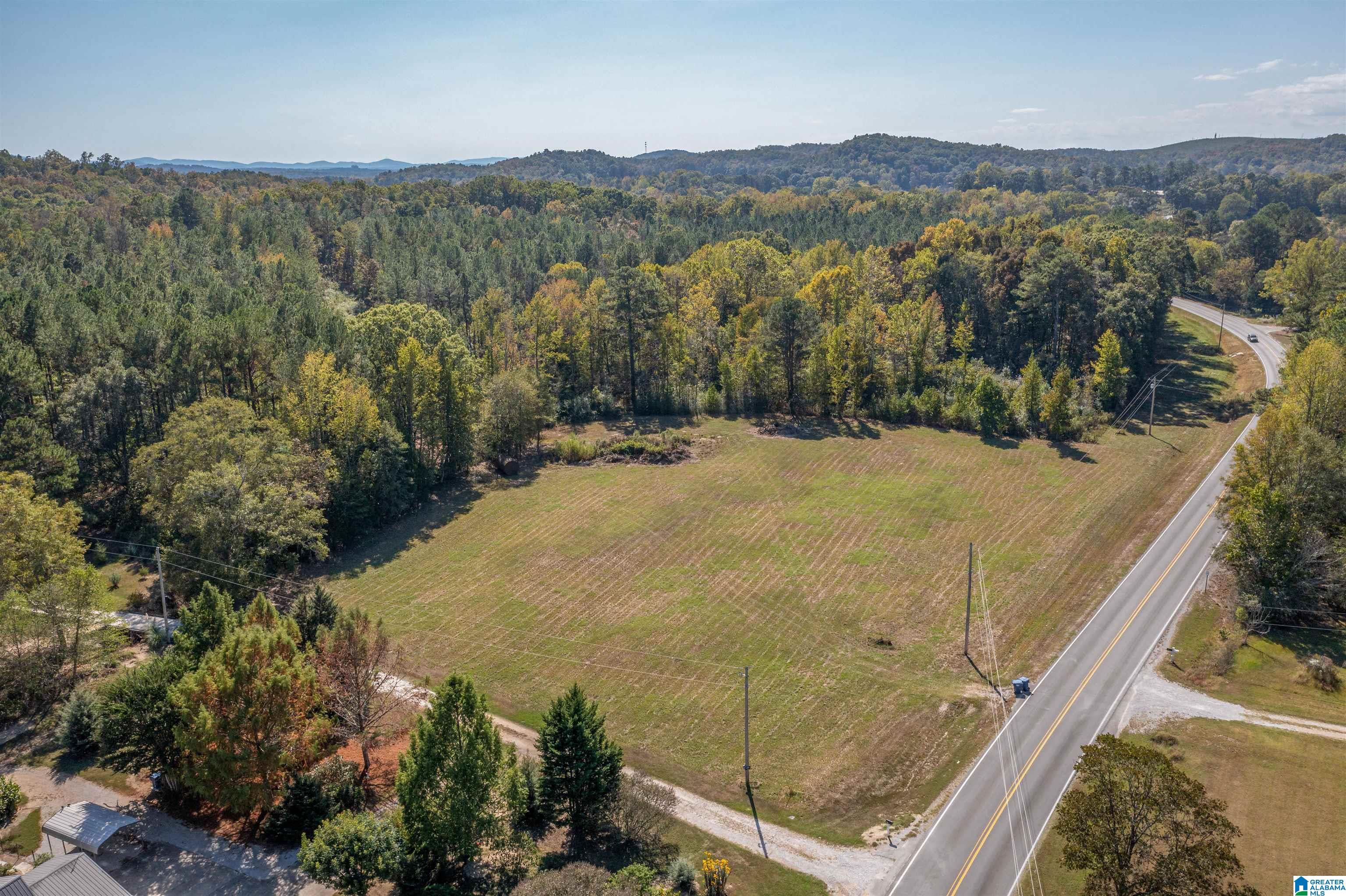 0 Roy Webb Road Jacksonville, AL 36265 - Photo 1 of 15