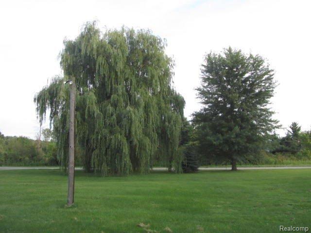 8988 Rynn Road Avoca, MI 48006 - Photo 22 of 22 2013-07-15 07.36.40.jpg