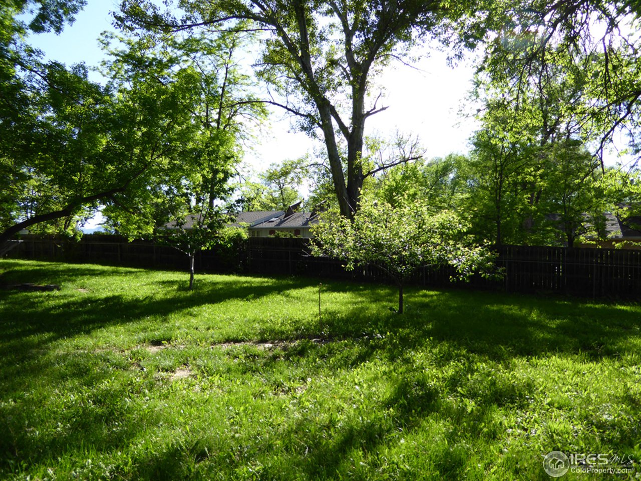 7785 Monarch Road Niwot, CO 80503 - Photo 20 of 25 Fruit Trees