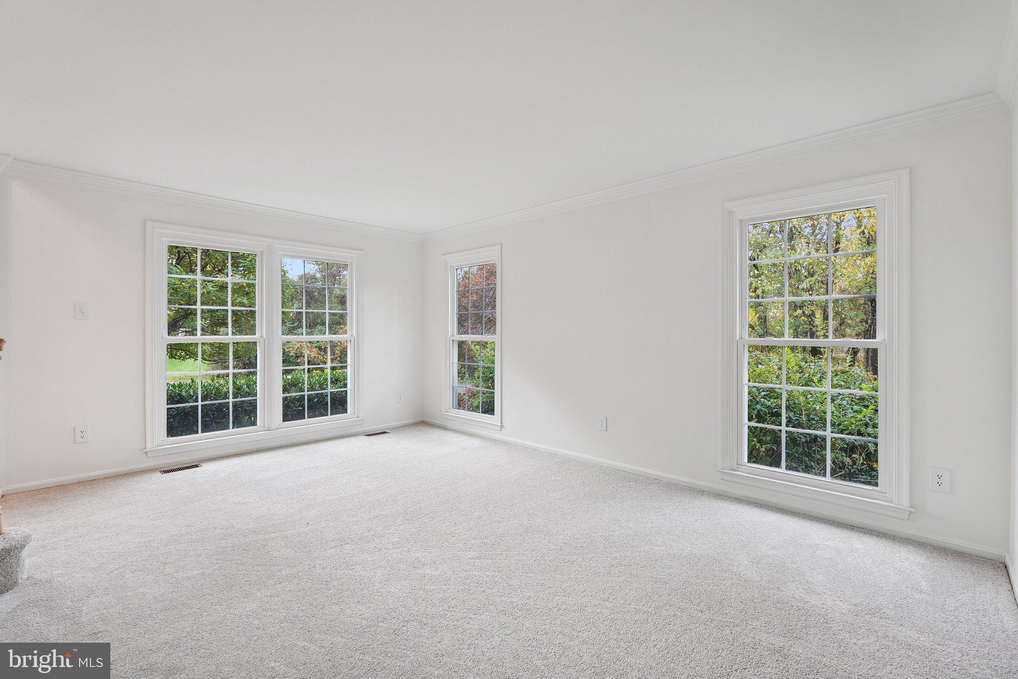 15056 Brown Post Lane Centreville, VA 20121 - Photo 6 of 45 an empty room with windows