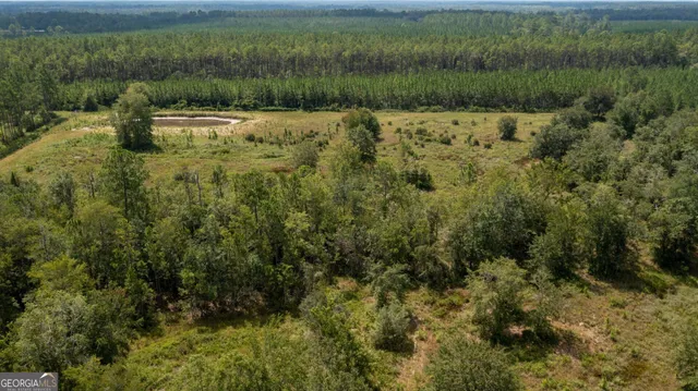 a view of a lake with a mountain