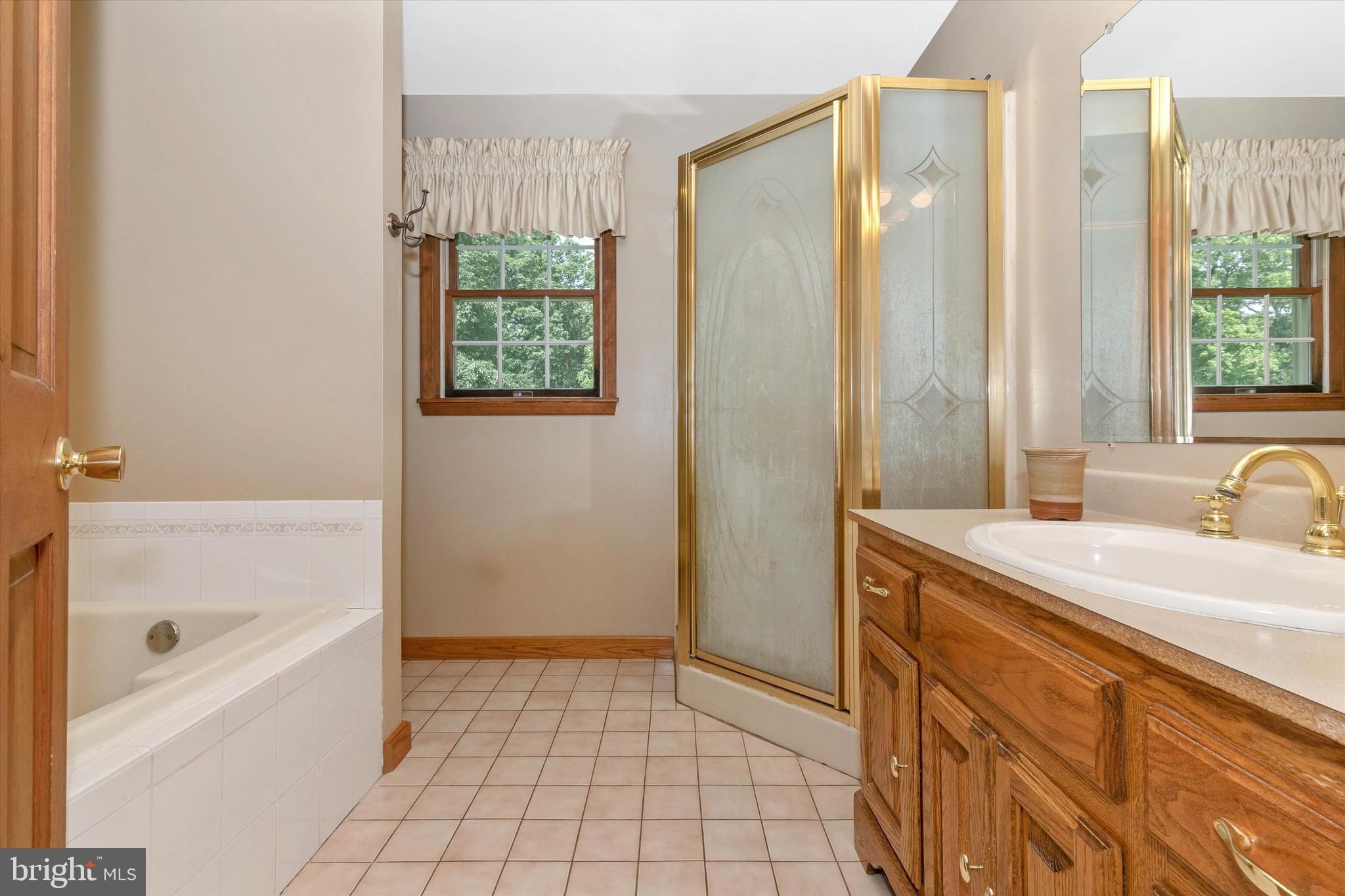 20804 Townsend Road Rohrersville, MD 21779 - Photo 32 of 49 Primary bathroom with shower and soaking tub