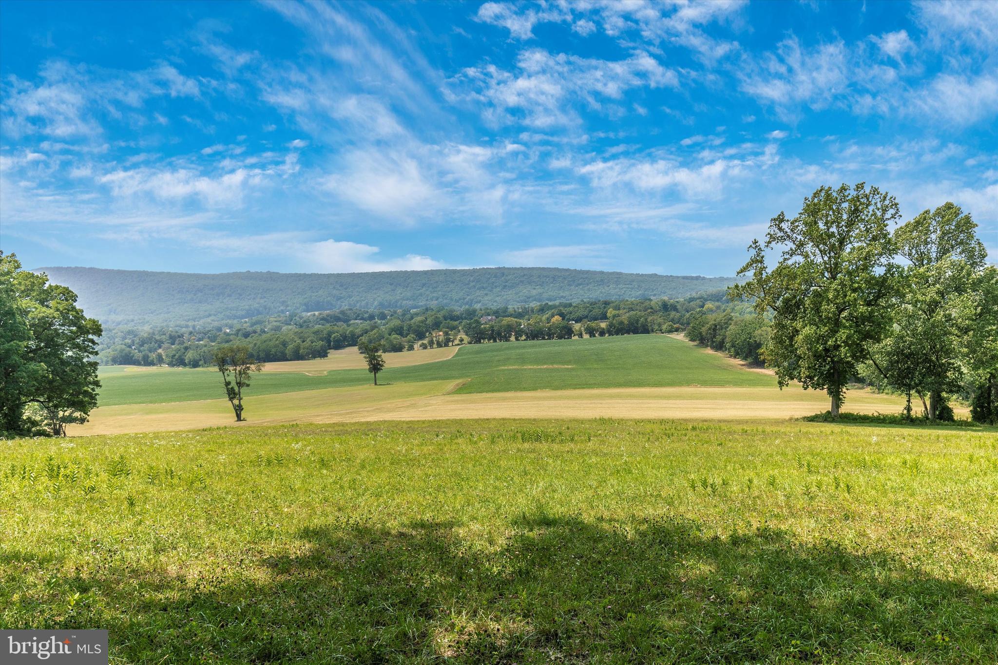 20804 Townsend Road Rohrersville, MD 21779 - Photo 40 of 49 View from yard