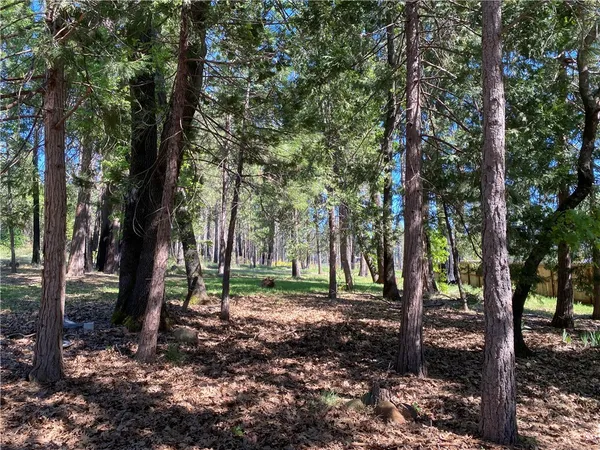 a view of outdoor space with trees