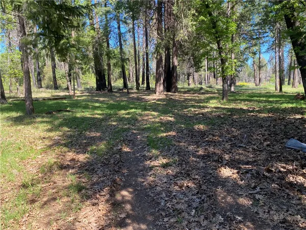 a view of outdoor space with trees