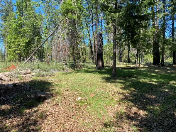 a view of backyard with green space