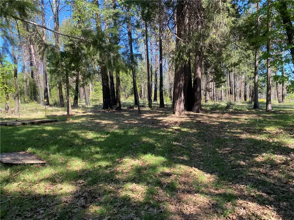 a big yard with lots of green space and plants