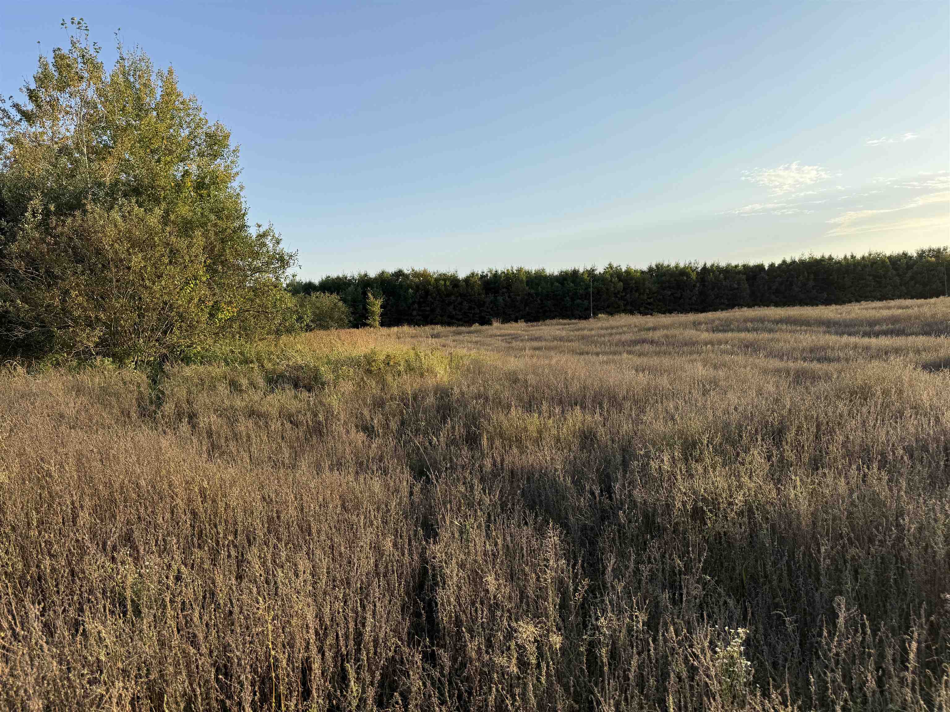 Lot 3 Eau Claire River Road Ringle, WI 54471 - Photo 17 of 19