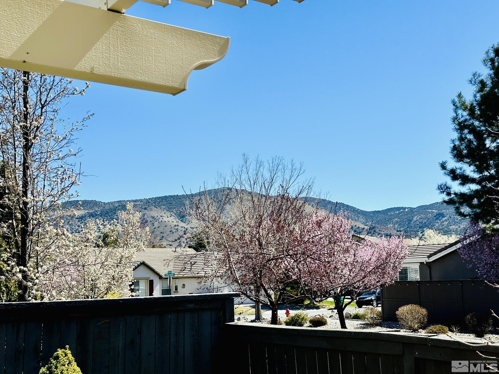 491 Oldenburg Drive Reno, NV 89521 - Photo 14 of 36 a view of a yard