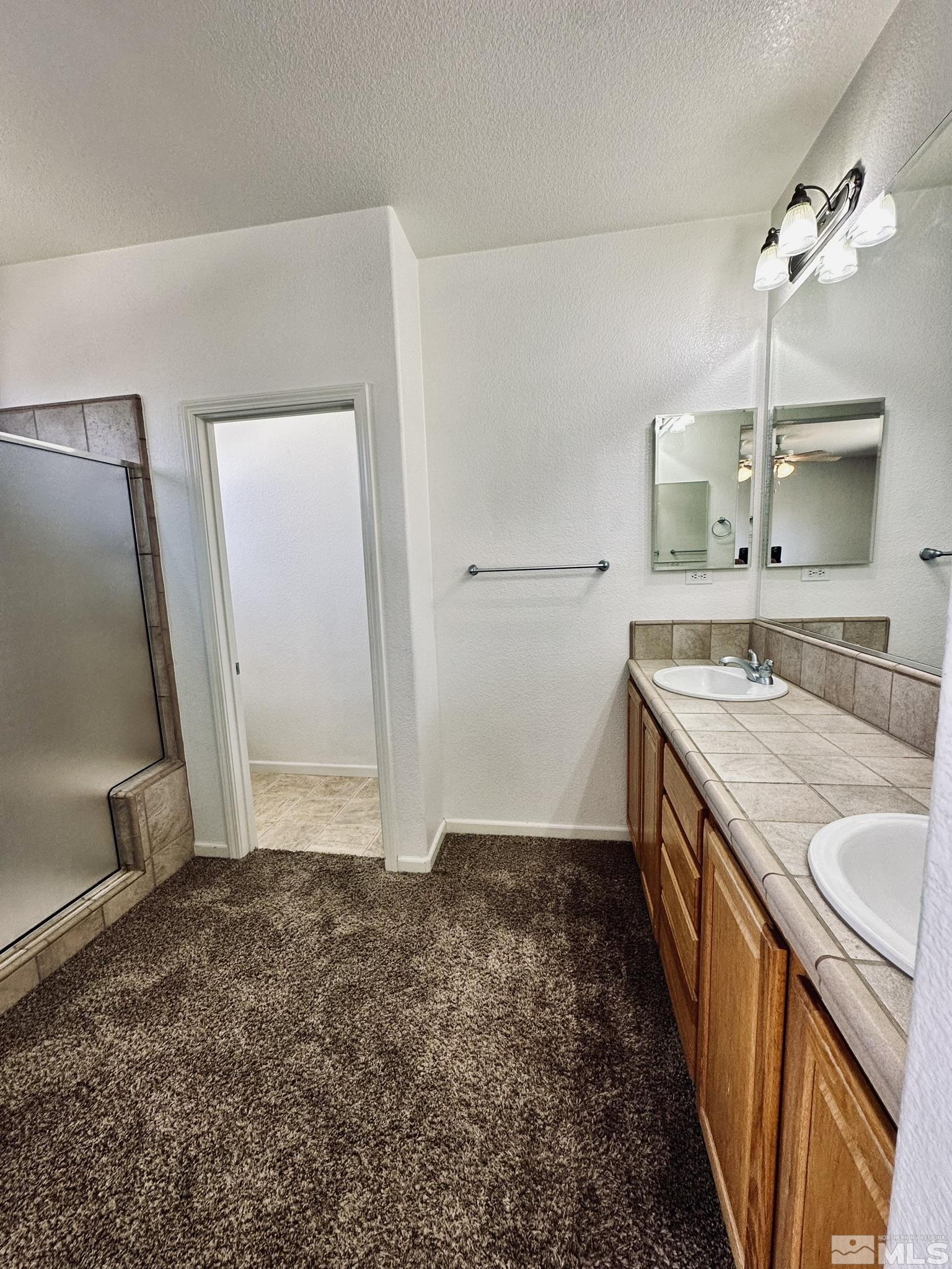 491 Oldenburg Drive Reno, NV 89521 - Photo 20 of 36 a bathroom with a sink a vanity and a mirror