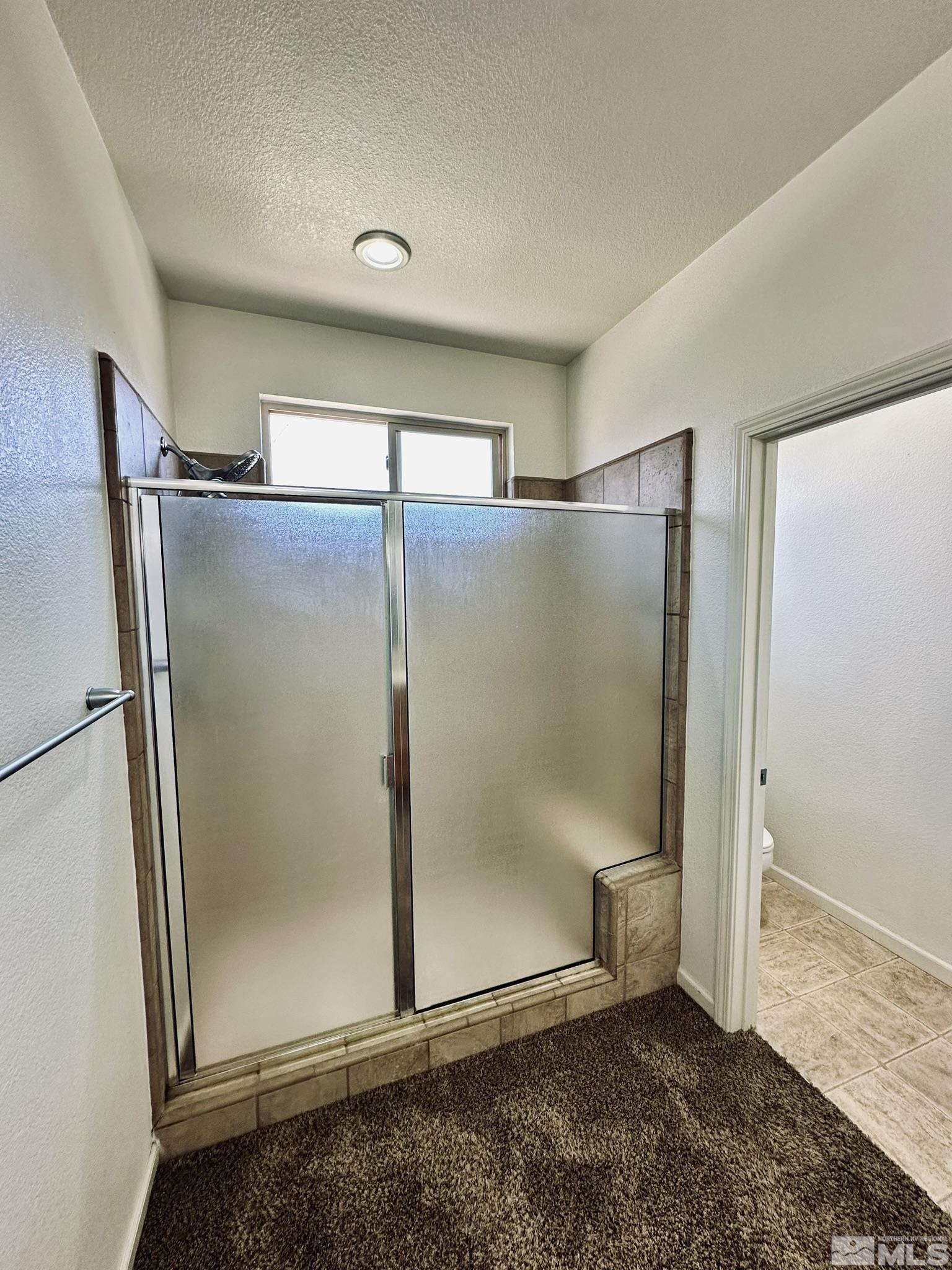 491 Oldenburg Drive Reno, NV 89521 - Photo 21 of 36 a bathroom with a glass shower door