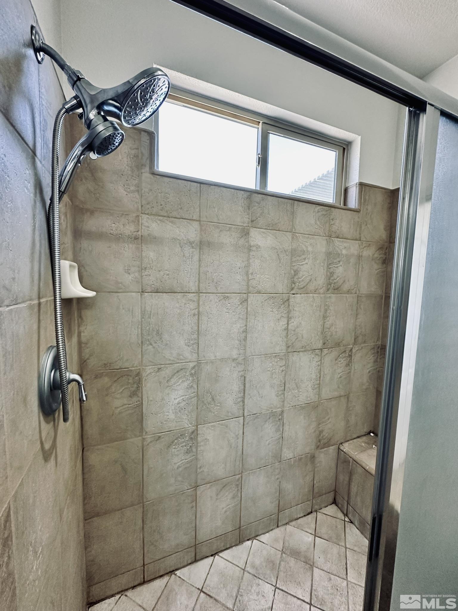 491 Oldenburg Drive Reno, NV 89521 - Photo 22 of 36 a bathroom with a shower