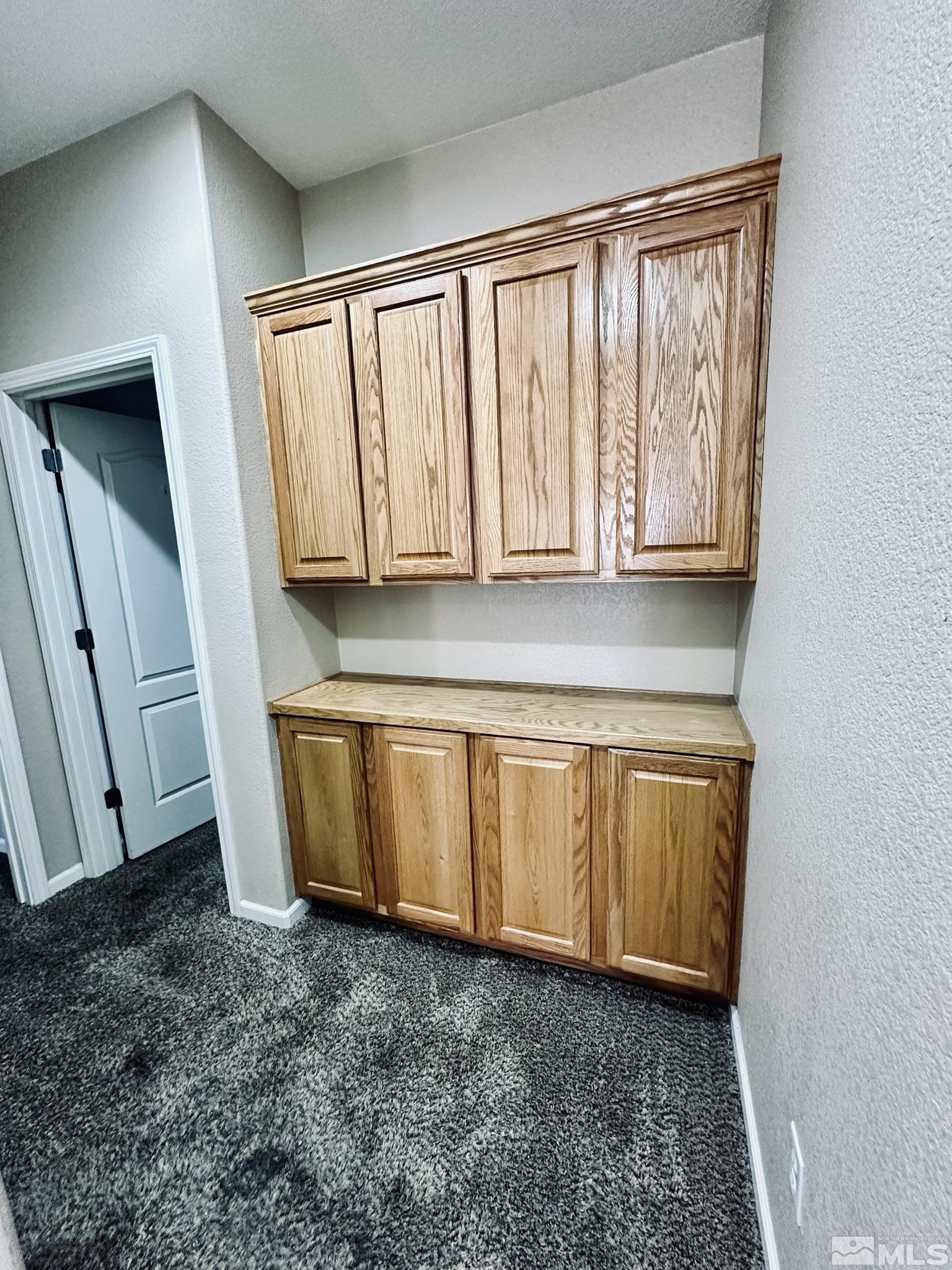 491 Oldenburg Drive Reno, NV 89521 - Photo 27 of 36 a view of front door with washer and dryer