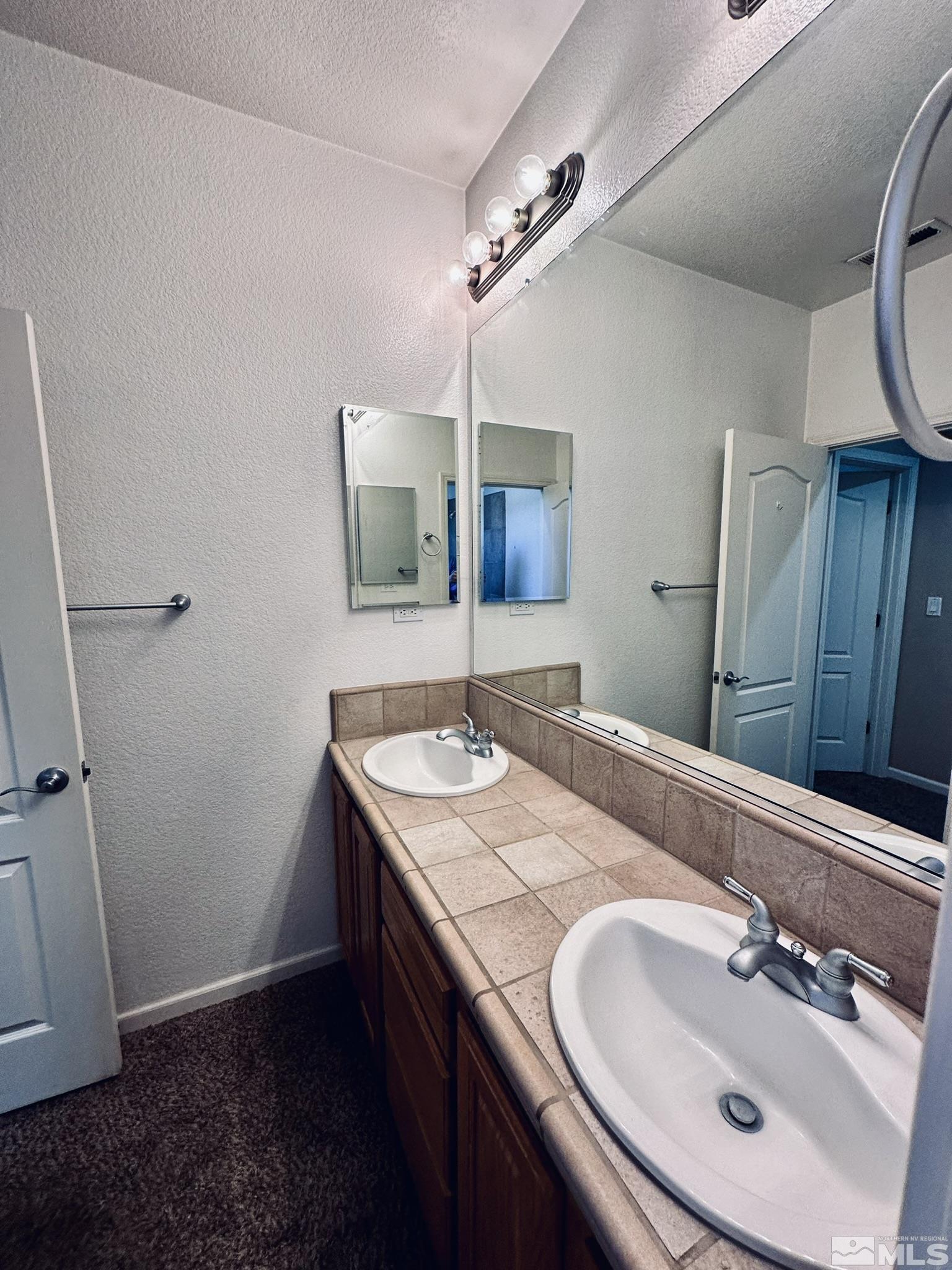 491 Oldenburg Drive Reno, NV 89521 - Photo 29 of 36 a bathroom with a sink and a mirror