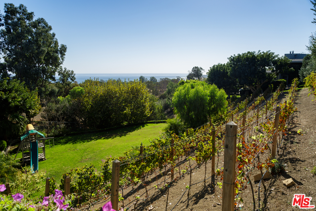 27366 Winding Way Malibu, CA 90265 - Photo 38 of 43 a view of a garden with a flower garden