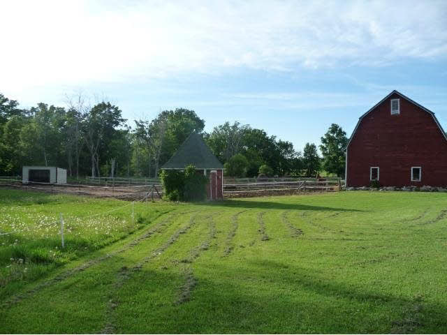 35920 Reed Avenue Shafer, MN 55074 - Photo 13 of 18 Gallery Image 13