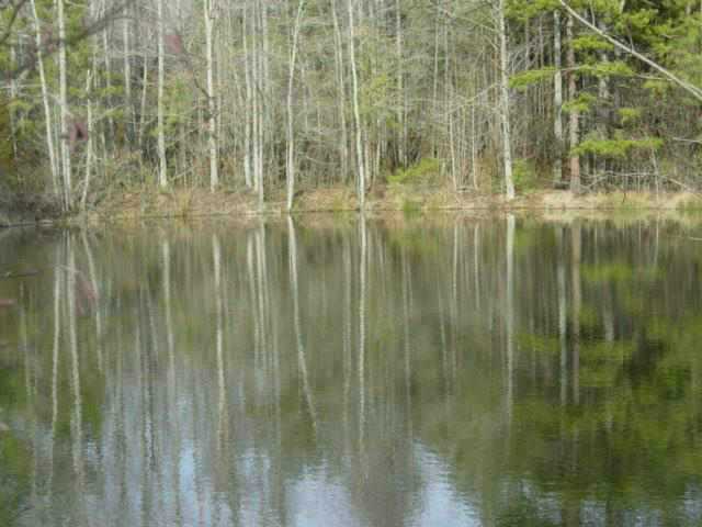 241 State Rd S-37-208 Seneca, SC 29678 - Photo 5 of 9 Gallery Image 5