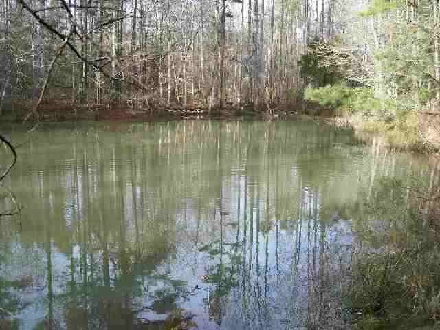 241 State Rd S-37-208 Seneca, SC 29678 - Photo 7 of 9 Gallery Image 7