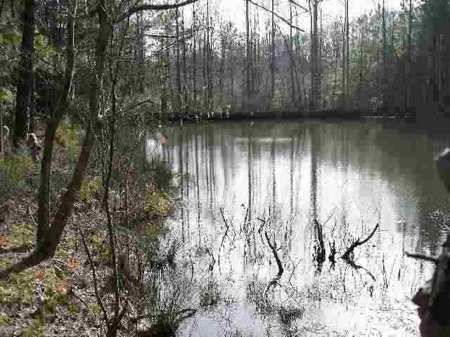 241 State Rd S-37-208 Seneca, SC 29678 - Photo 8 of 9 Gallery Image 8