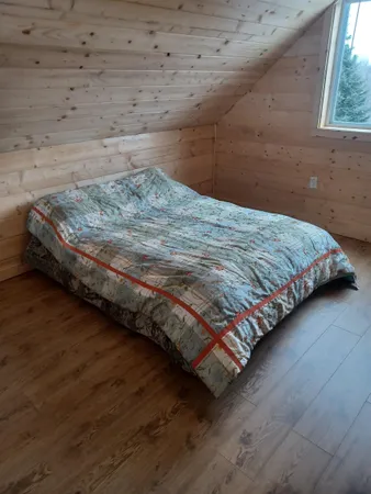 $309,000 | 4571 Forest Road 609, Finland, MN 55603