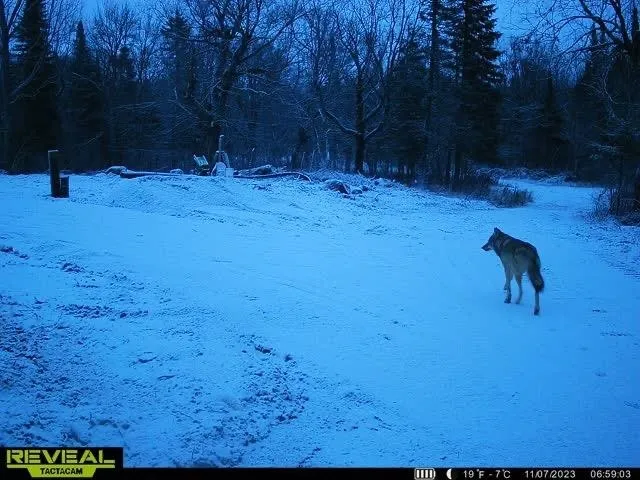 $309,000 | 4571 Forest Road 609, Finland, MN 55603