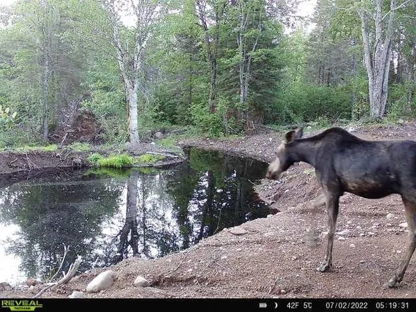 $309,000 | 4571 Forest Road 609, Finland, MN 55603