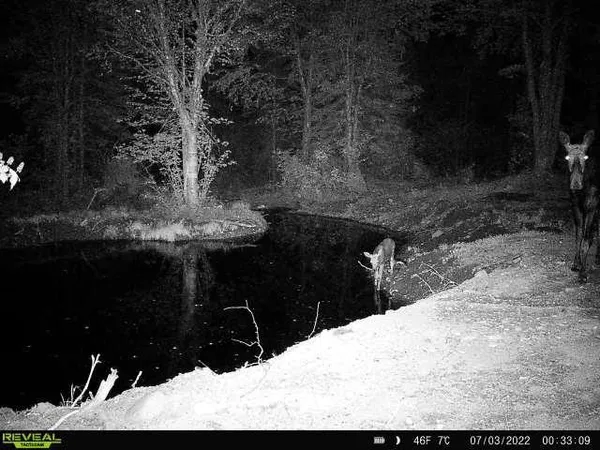 $309,000 | 4571 Forest Road 609, Finland, MN 55603