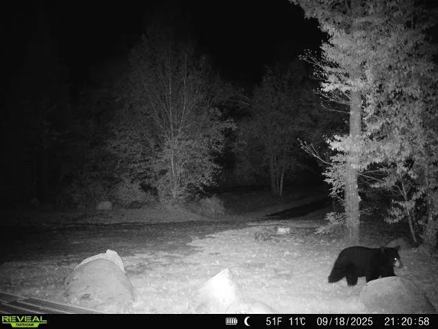 $309,000 | 4571 Forest Road 609, Finland, MN 55603