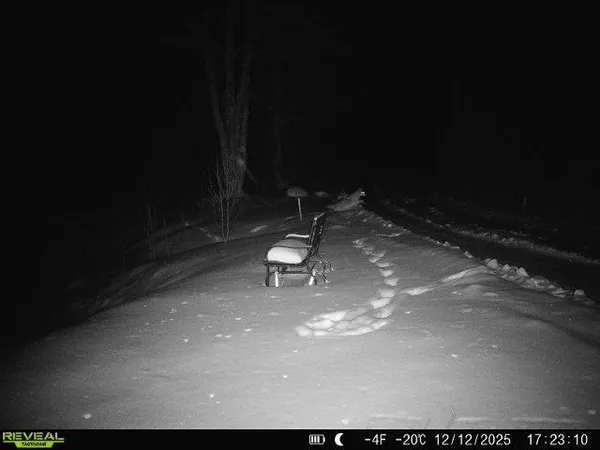 $309,000 | 4571 Forest Road 609, Finland, MN 55603