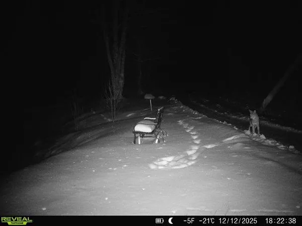 $309,000 | 4571 Forest Road 609, Finland, MN 55603