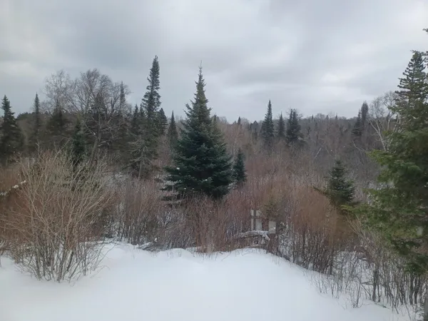 $309,000 | 4571 Forest Road 609, Finland, MN 55603